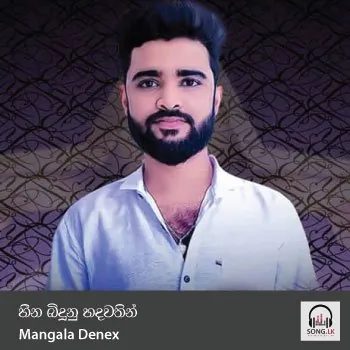 Heena Binduna Hadawathin